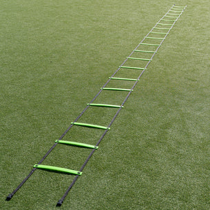 Adjustable Speed Ladder 9M