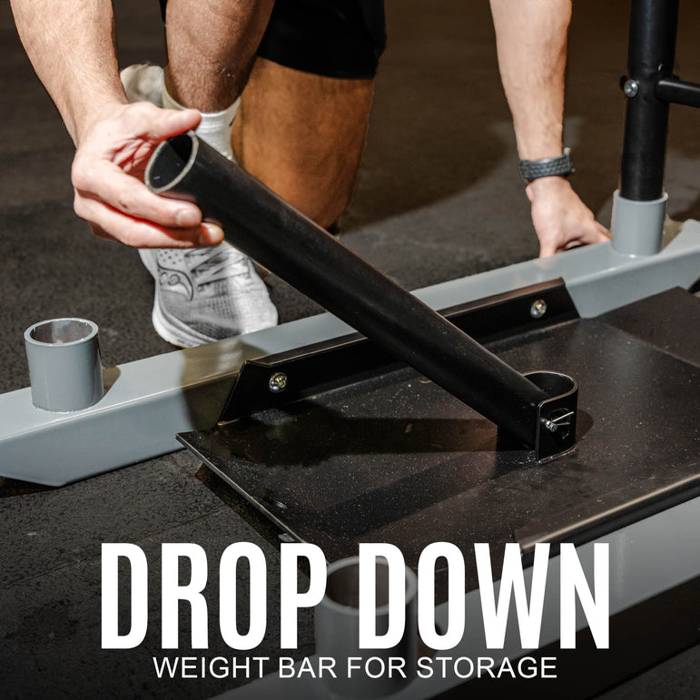 Weighted Push/Pull Sled