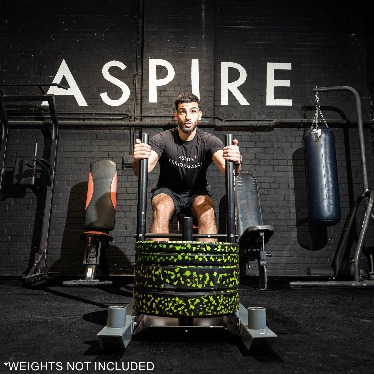 Weighted Push/Pull Sled